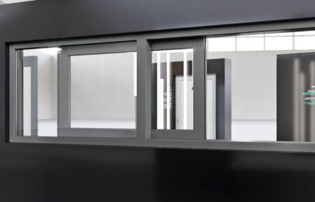 Exp03_Fenster_ASF_Synego_Slide